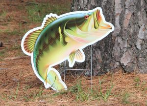 Bass-Fish
